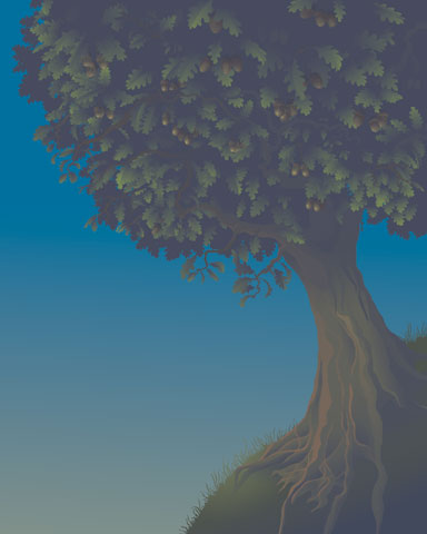 acorn tree