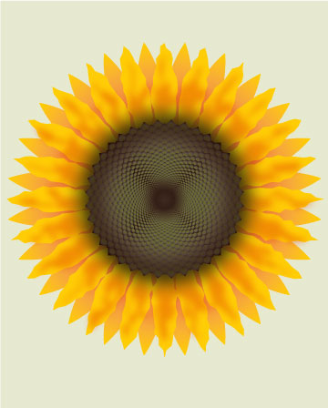 vignette sunflower